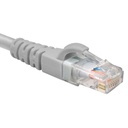 [AB361NXT01] Nexxt - Patch Cord Multifilar UTP Categoria 6 Gris 24AWG Revestimiento CM [90cm/3ft] [Unidad]