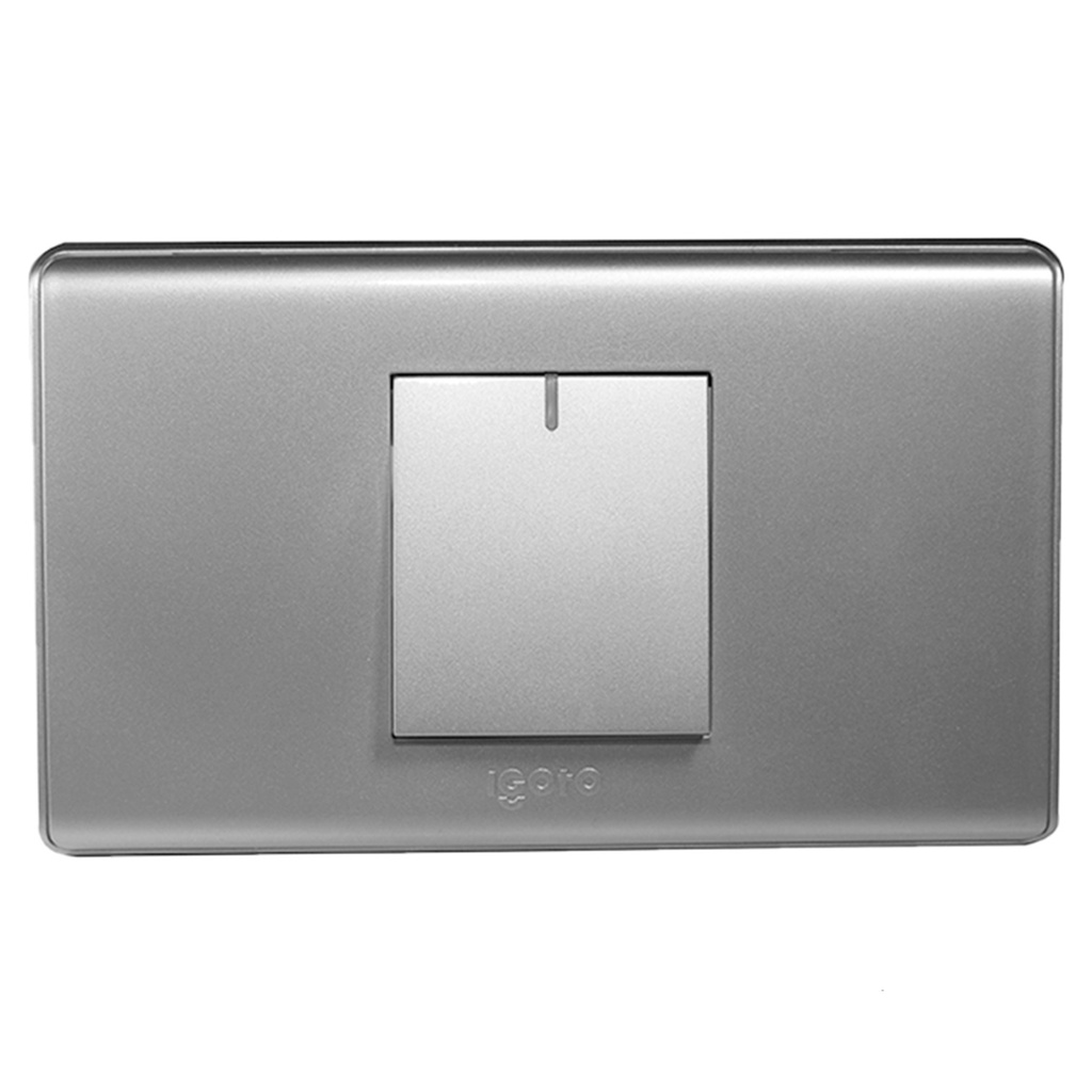 [A2012-S] Igoto - Interruptor Simple Pequeño Serie A Plata