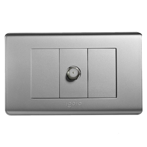 [070591] [A2071S-S] Igoto - Toma para TV Serie A Plata