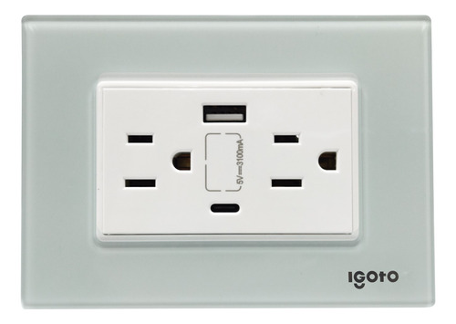 [070723] [Z105/2U-C-A] Igoto - Toma Corriente con Tierra + USB y Tipo C Serie Z [Acrilico]